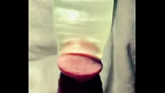 Jouer Machine de baise de bite de champignon